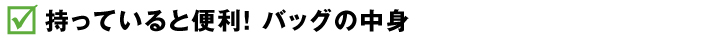 持っていると便利！ バッグの中身