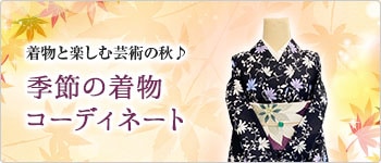 気軽にきものコーディネート