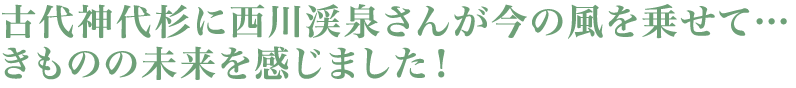 悠久のロマンが秘められた神代杉に
包まれるだけでパワーがいただけそう！