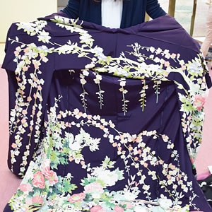美しい彩色