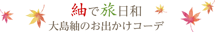 紬で旅日和大島紬のお出かけコーデ