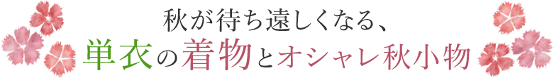 秋が待ち遠しくなる、単衣の着物とオシャレ秋小物